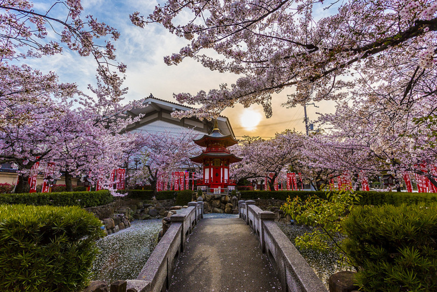 心动日本时光纪 日本富士山三古都八天七玩 贵阳中国旅行 贵阳旅行社 贵州旅游线路 贵州旅行社 贵州地接